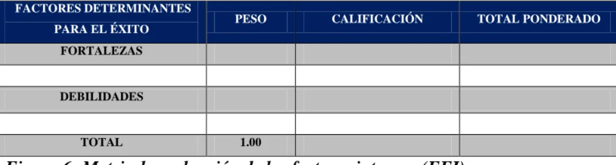 Figura 6: Matriz de evaluación de los factores internos (EFI) 