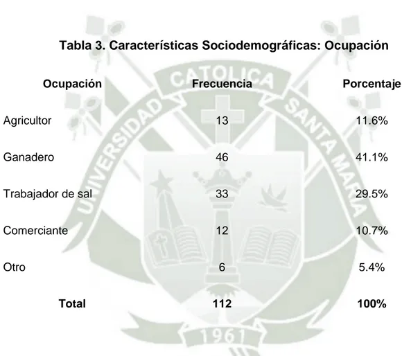 Tabla 3. Características Sociodemográficas: Ocupación 