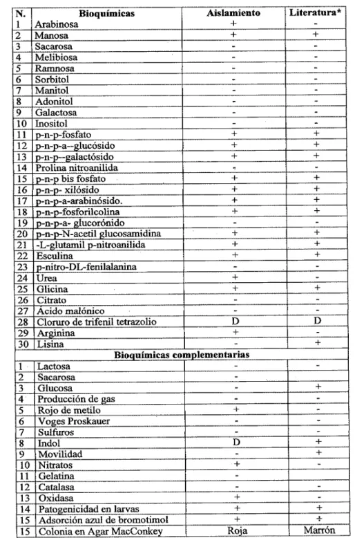 Tabla 1. Relación de las pruebas bioquímicas efectuadas para la identificación de X.