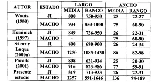 Tabla 3.  valores de largo y ancho en micras, de JI y machos de varias cepas de S. r
