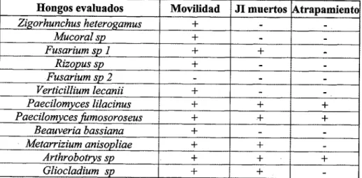 Tabla 1. Efecto de 12 cepas de hongos sobre los JI de S. feltiae