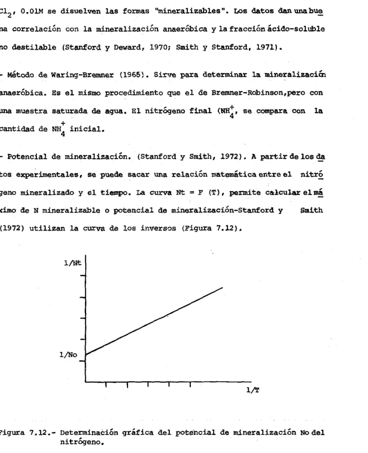 Figura  7.12.- Determinaéión  gráfica  del  poténcial  de  mineralización  No  del  nitrÓgeno