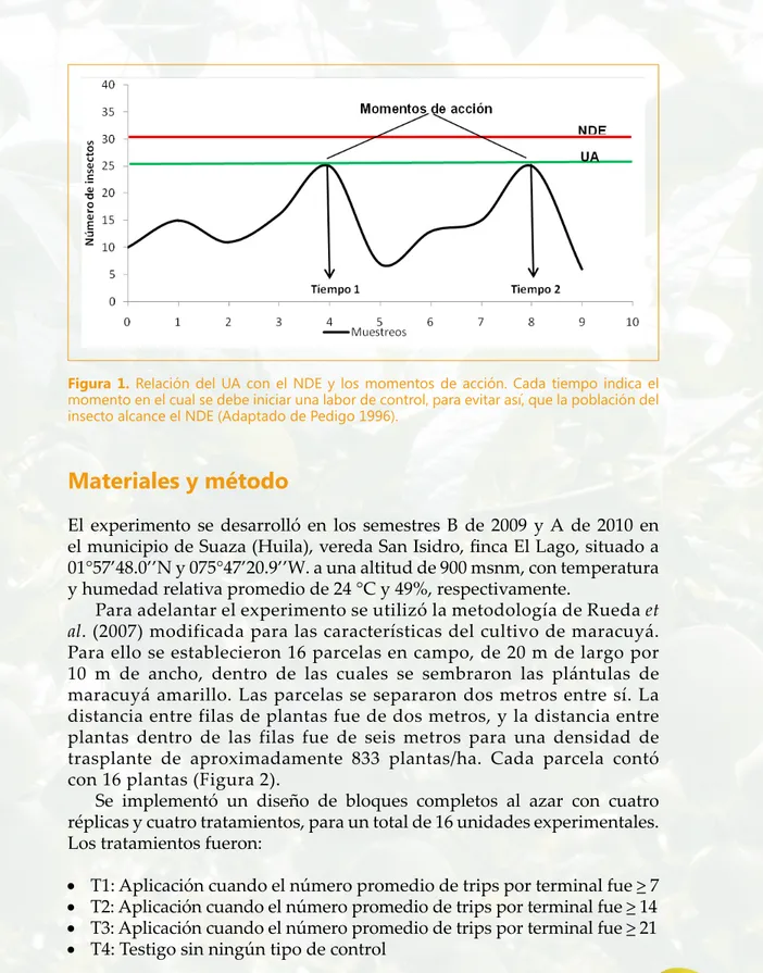 Figura 1. Relación del UA con el NDE y los momentos de acción. Cada tiempo indica el  momento en el cual se debe iniciar una labor de control, para evitar así, que la población del  insecto alcance el NDE (Adaptado de Pedigo 1996).