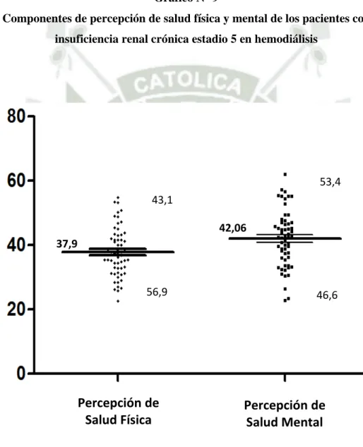 Gráfico N° 9 