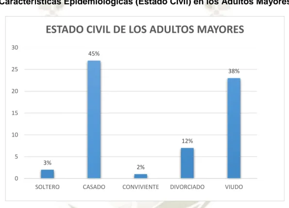 GRÁFICO N° 5 