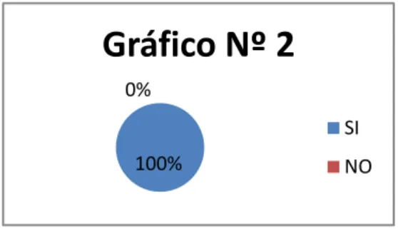 Gráfico Nº 2 SI NO