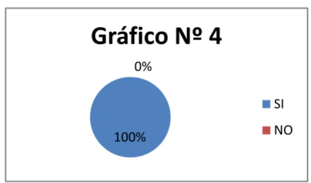 Gráfico Nº 4