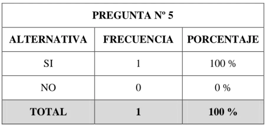 Gráfico Nº 6