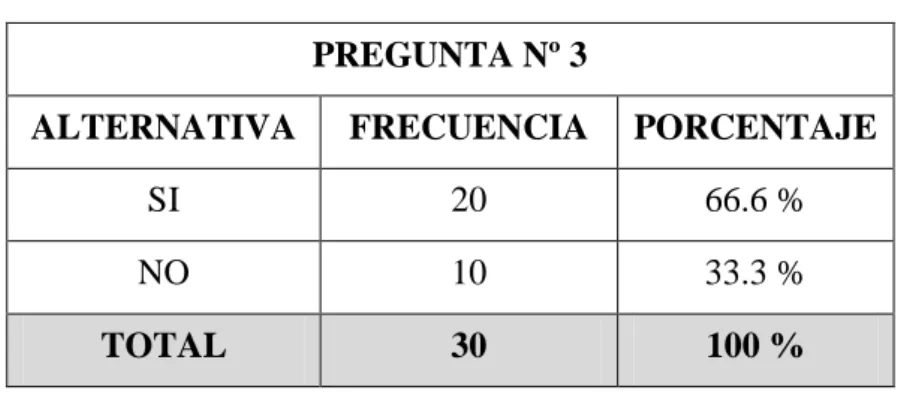 Gráfico Nº 10
