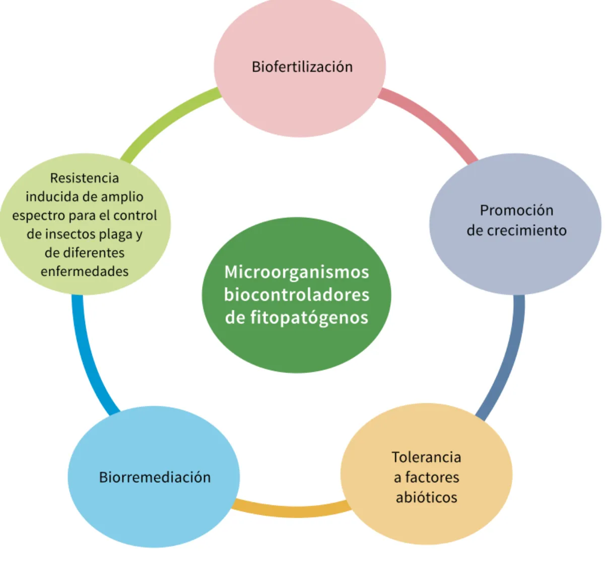 Figura 20.2. Múltiples efectos de los microorganismos biocontroladores . 