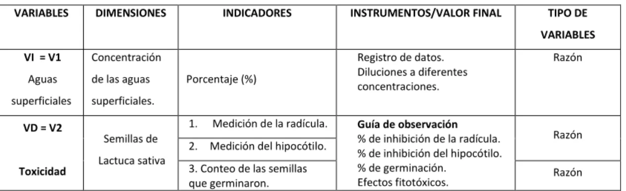 Cuadro 4. Operacionalización de Variables 