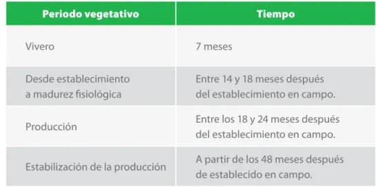 Tabla 1. Periodo vegetativo de los clones de cacao  tcs  13 y  tcs  19 en las subregiones agroecológicas  Montaña Santandereana y Magdalena Medio