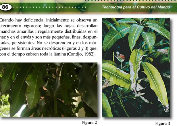 Figura 2 Figura 3