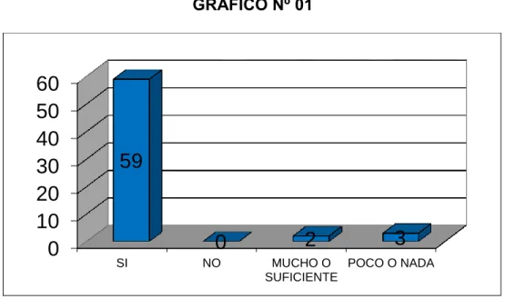 GRÁFICO Nº 01