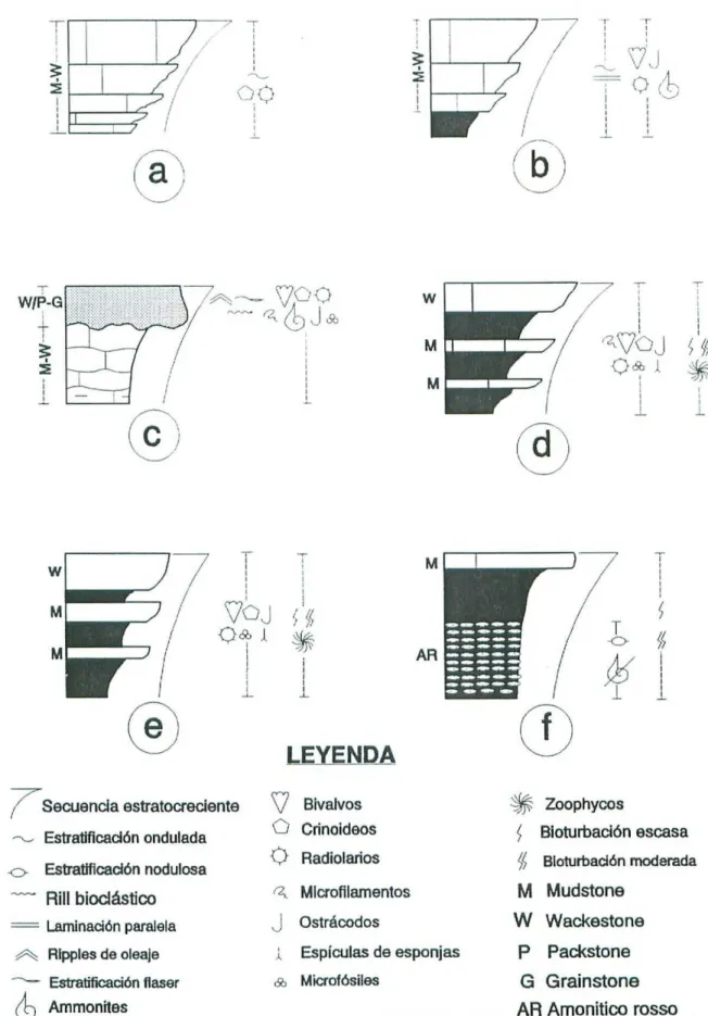 Fig. 5.- Secuencias tipo de las Calizas lableadas del Cortijo delAllo de la Mm0a (a,b,c,)y de las Margas y margocalizas del Río Guardal (d, ej).