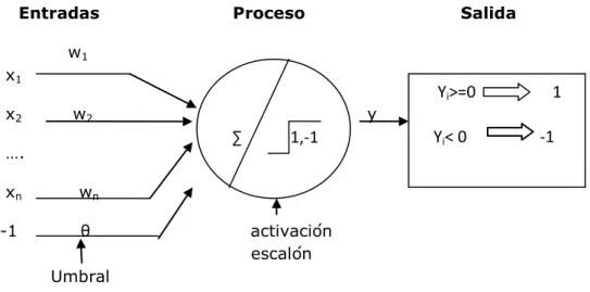 Figura 2.14. Perceptrón simple (fuente propia) 