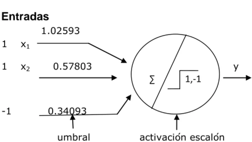 Figura 2.16. Actualización de pesos- Perceptrón simple (fuente propia) 
