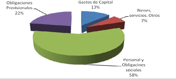 Gráfico N°9 