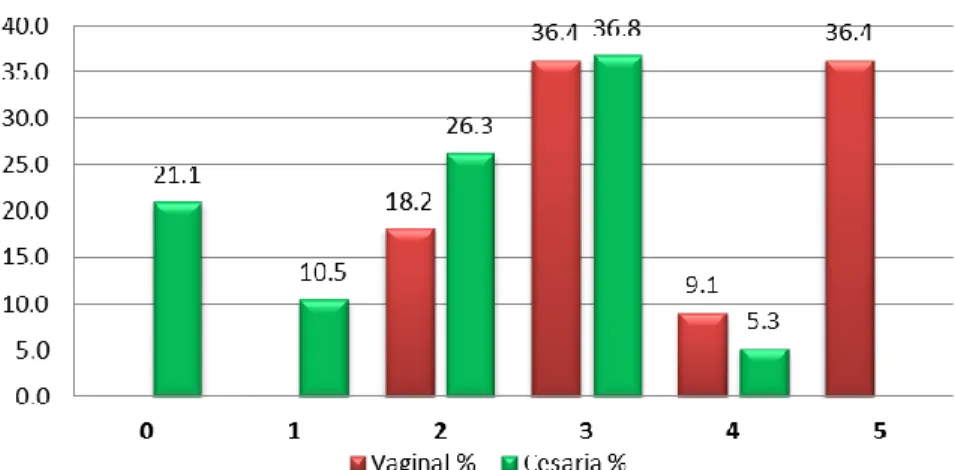 Gráfico N° 10 