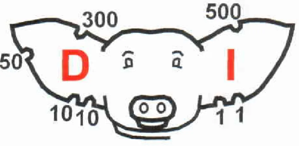 Figura  1 1. ldentificación  del cerdo No. 872