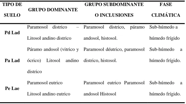 Tabla 7. Unidades edafológicas identificadas para el cultivo de Polylepis tarapacana, 