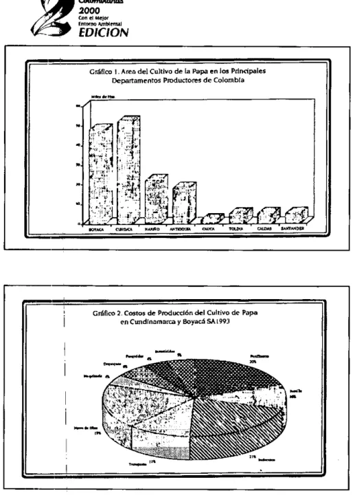 Gráfico  2. Costos  de Producción del  Cultivo  de Papa en Cundinamarca y Boyacá  SA [993
