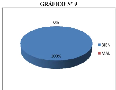 GRÁFICO Nº 9