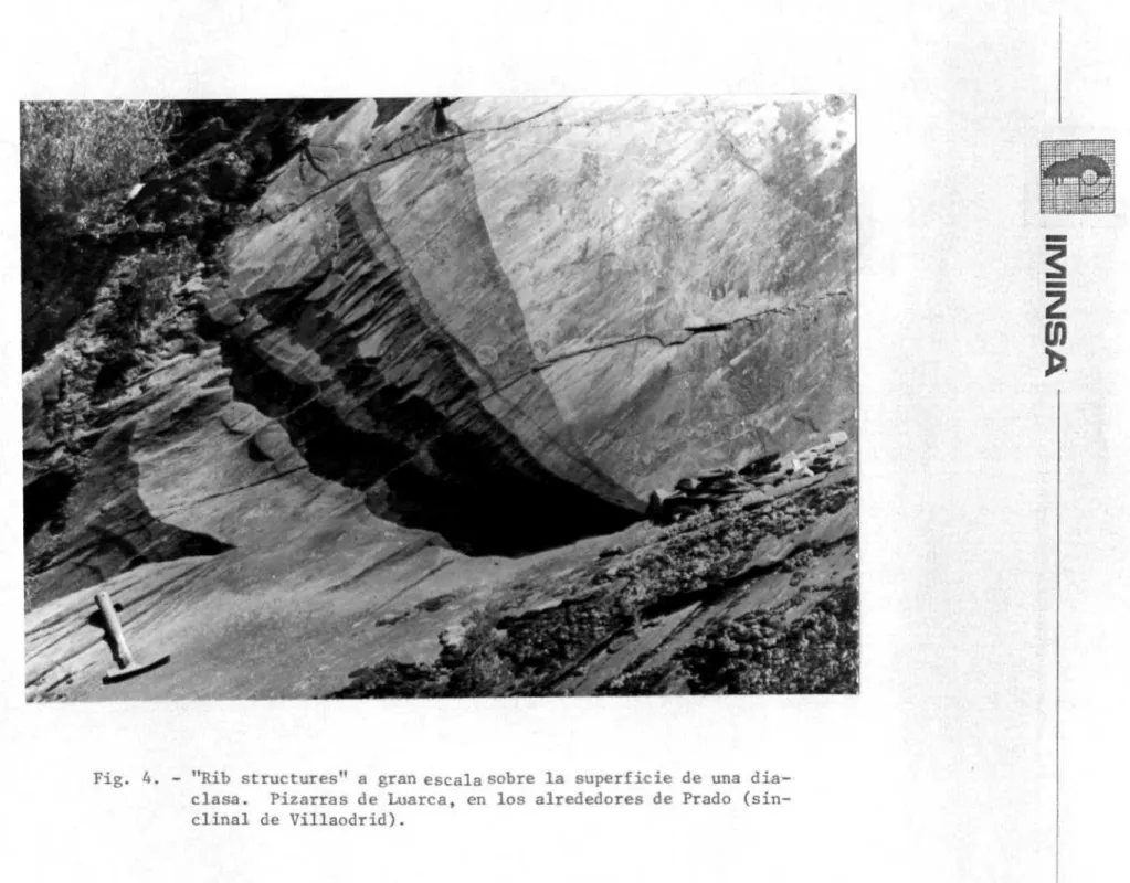 Fig. 4. - "Rib structures" a gran escala sobre la superficie de una dia- dia-clasa