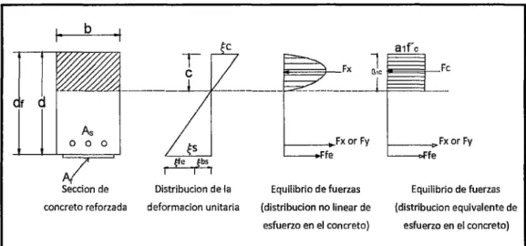 Figura  11: Distribución interna de deformación unitaria  y  esfuerzos para una sección  rectangular bajo flexión  en el estado limite último