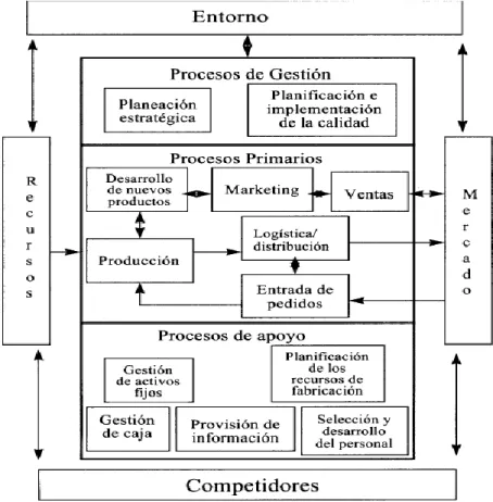 Figura 3. Clasificación de Procesos  Fuente: Beltrán (1999) 