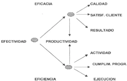 Figura 12. Mapa de Factores Claves de éxito de la gestión  Fuente: Mora (2005) 