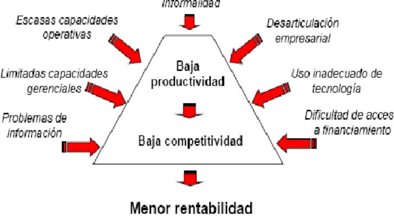Gráfico N° 1: Características de la MYPE en el Perú 