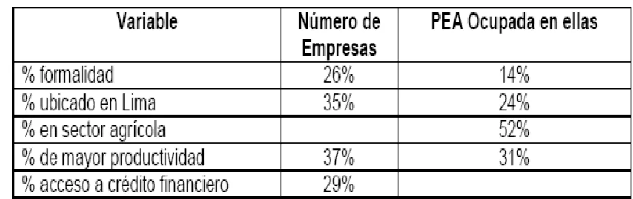 Tabla N ° 11. Características de la MYPE 