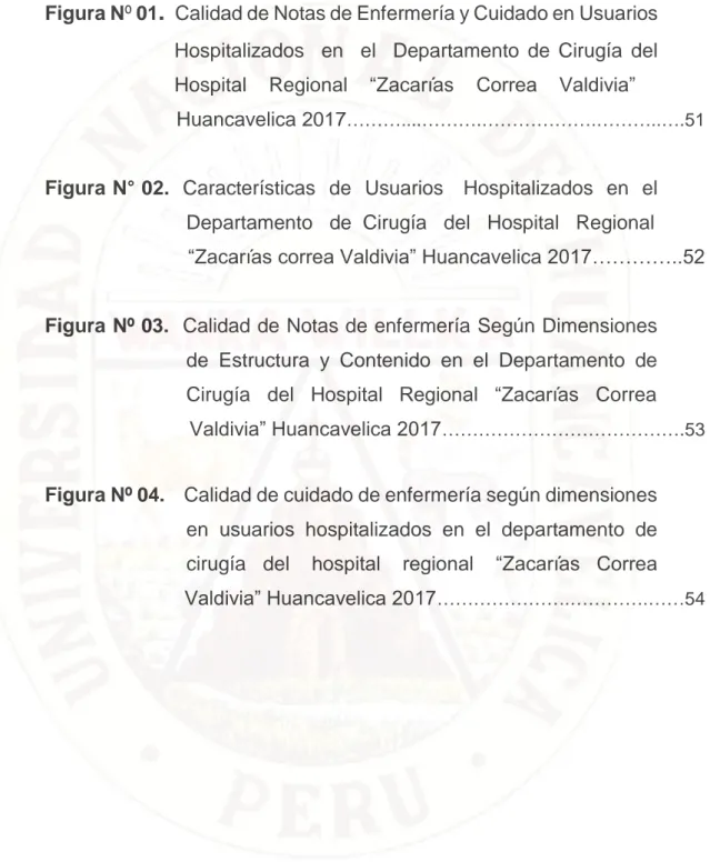 Figura Nº 01 .   Calidad de Notas de Enfermería y Cuidado en Usuarios  Hospitalizados    en    el    Departamento  de  Cirugía  del  Hospital    Regional    “Zacarías    Correa    Valdivia” 
