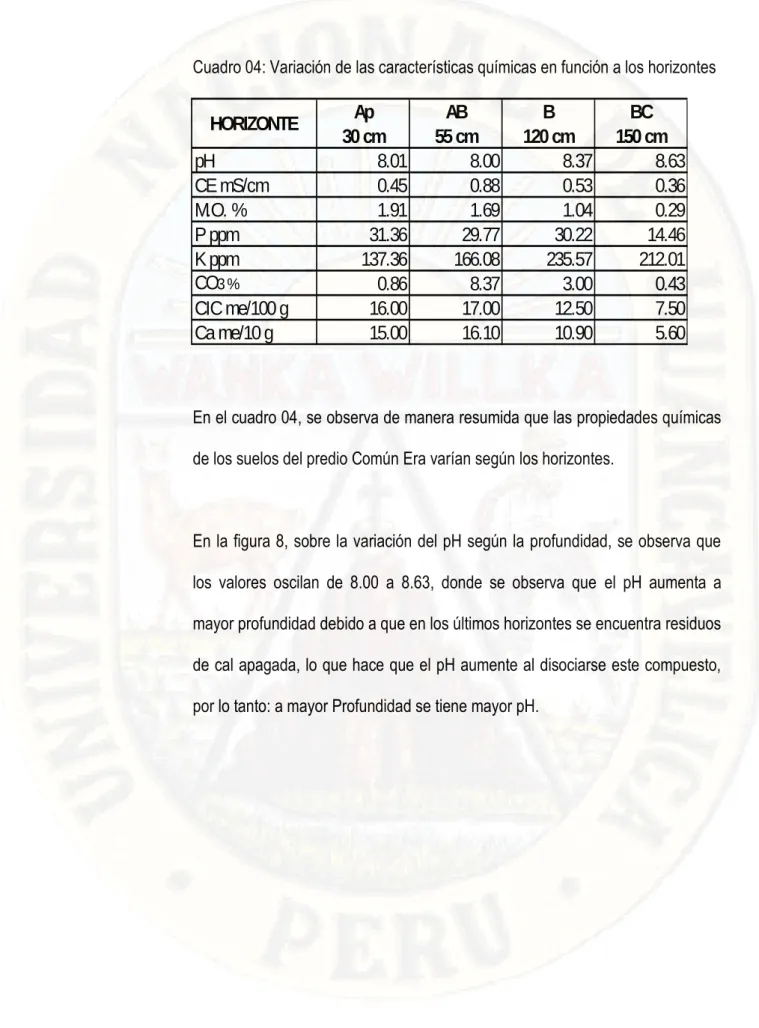 Cuadro 04: Variación de las características químicas en función a los horizontes 