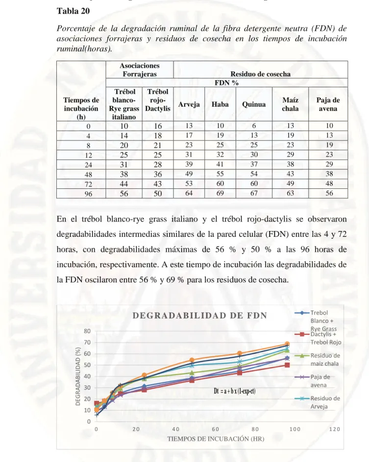 Figura  7.  Degradabilidad  In  situ  de  la  Fibra  detergente  neutra  de  residuos  de  cosecha  y  asociaciones  forrajeras,  según  el  modelo  matemático  de  Ørskov  y  McDonald (1979)