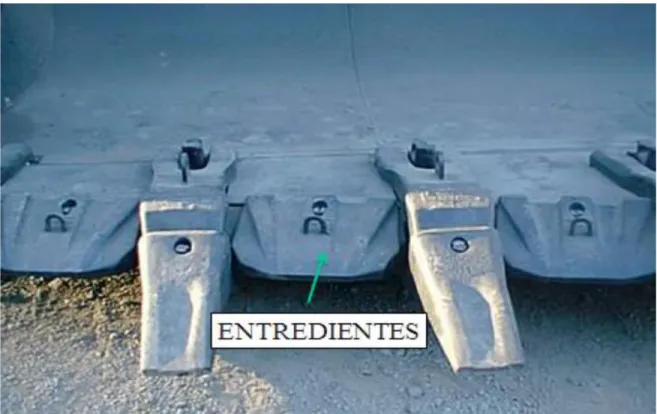 Figura 8: Entredientes Cargador 
