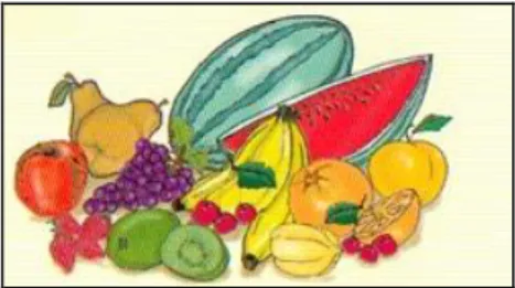 Figura 2.8.  Verduras y frutas 