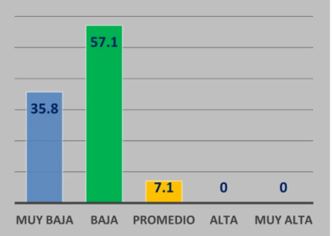 GRÁFICO Nº 09 