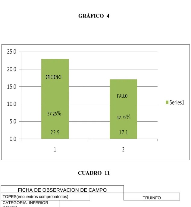GRÁFICO  4 