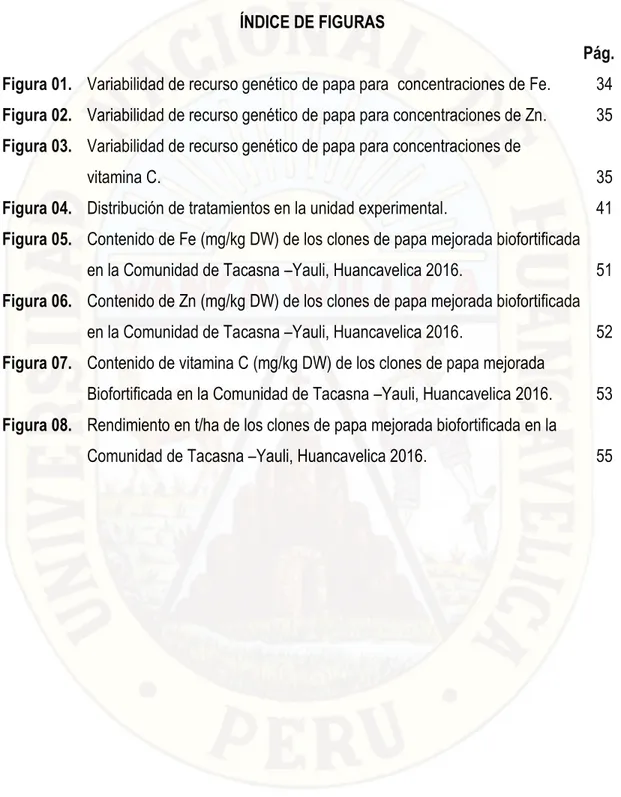 Figura 01.  Variabilidad de recurso genético de papa para  concentraciones de Fe.  34  Figura 02