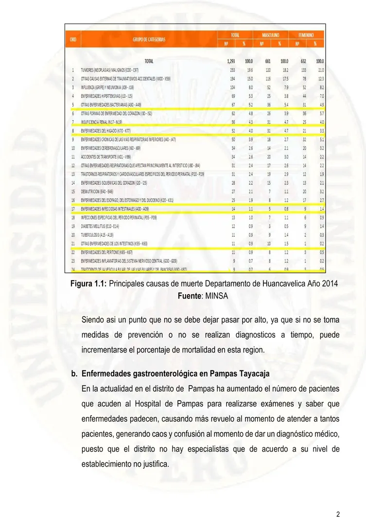 Figura 1.1:  Principales causas de muerte Departamento de Huancavelica Año 2014  Fuente: MINSA 