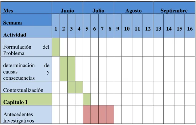 Tabla 6 – Matriz operativa del proyecto 