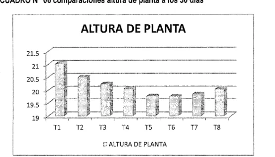 CUADRO  W 06 comparaciones altura de planta a los 30 días  21.5  21  20.5  20  19.5  ALTURA  DE  PLANTA  19  ~==.-~~-=~-==.~~~=-,_~,_~  T1  T2  T3  T4  T5  T6  T7  T8  ALTURA  DE  PLANTA 