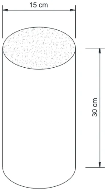 Figura 7. Dimensiones de las probetas de concreto. 