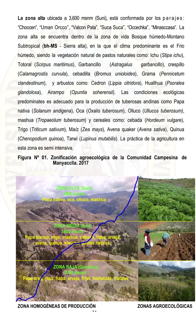 Figura  Nº  01.  Zonificación  agroecológica  de  la  Comunidad  Campesina  de  Manyacclla