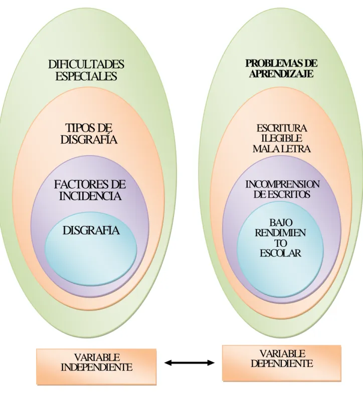 Gráfico Nº 1                   Red de inclusión                                                                   