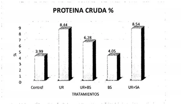 Gráfico 2. Comparación de medias para contenido de proteína cruda 