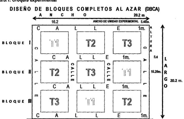 Cuadro N° 02 aplicación de los tratamientos 