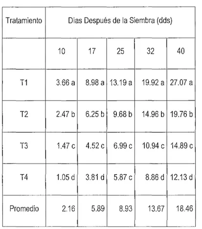 Cuadro  W  2:  Comparación  de  promedios  de  la  altura  de  plantas  de  rabanito  evaluados en cuatro densidades de siembra (Duncan,  a  =  0.05) 